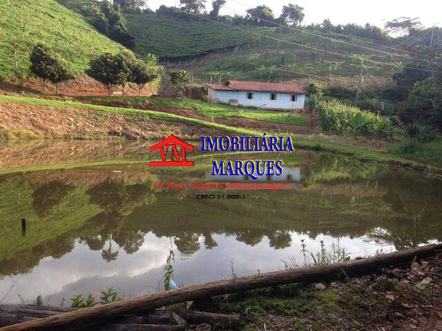 Venda em Zona Rural - Monte Alegre do Sul