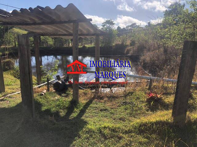 Sítio para Venda em Amparo - 4