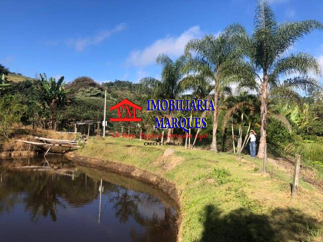 Sítio para Venda em Amparo - 5