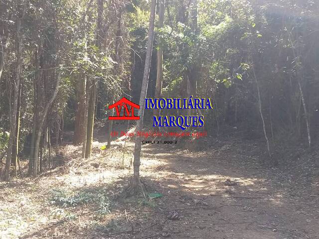 #180 - Sítio para Venda em Morungaba - SP