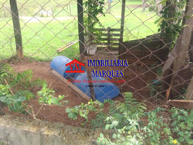Sítio para Venda em Amparo - 5