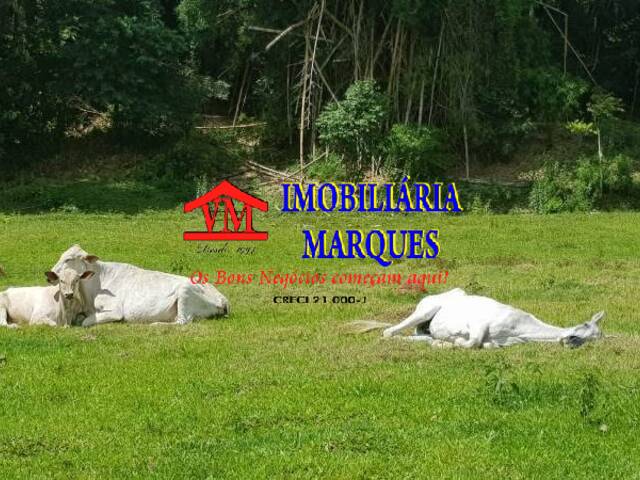 #052 - Sítio para Venda em Itatiba - SP