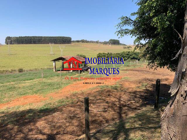 Sítio para Venda em Bragança Paulista - 5