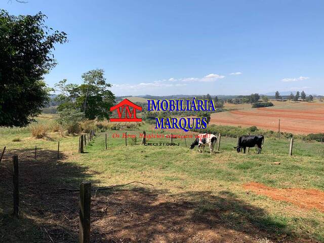 Venda em Área Rural de Bragança Paulista - Bragança Paulista