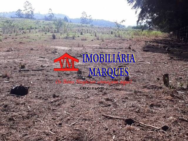 #260 - Fazenda para Venda em Morungaba - SP - 2