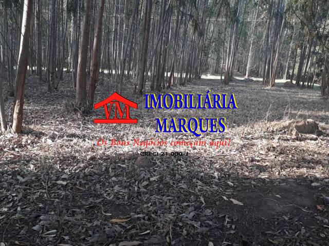 #260 - Fazenda para Venda em Morungaba - SP - 3