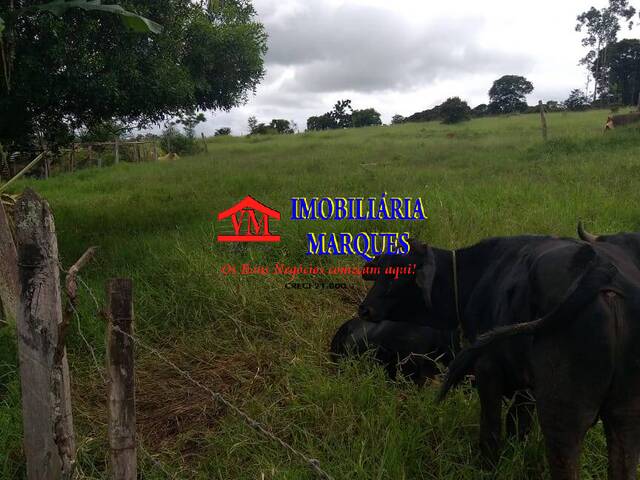 #185 - Sítio para Venda em Tuiuti - SP