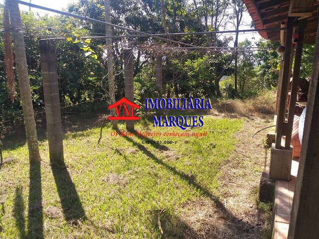 #250 - Sítio para Venda em Amparo - SP