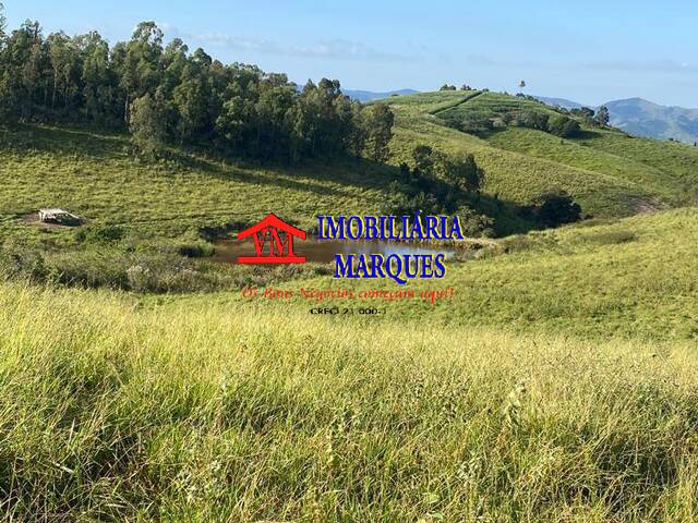 Fazenda para Venda em Itapira - 4