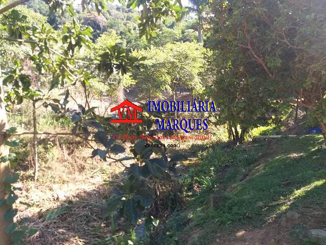 #101 - Sítio para Venda em Amparo - SP