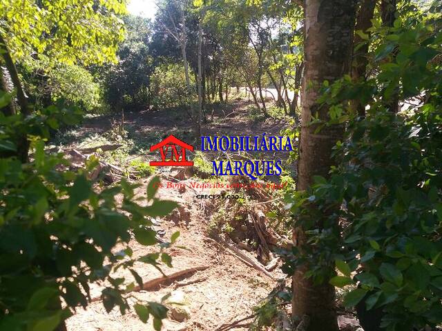 Sítio para Venda em Amparo - 4