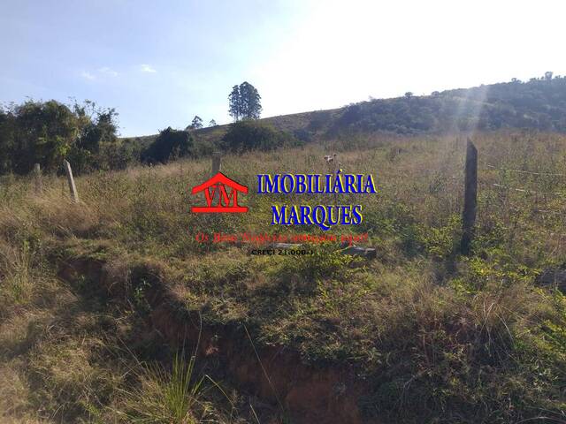 #219 - Sítio para Venda em Amparo - SP