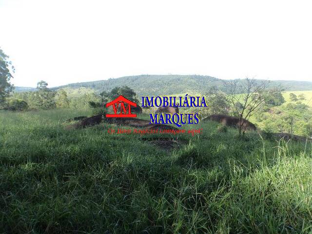 #155 - Sítio para Venda em Morungaba - SP - 3