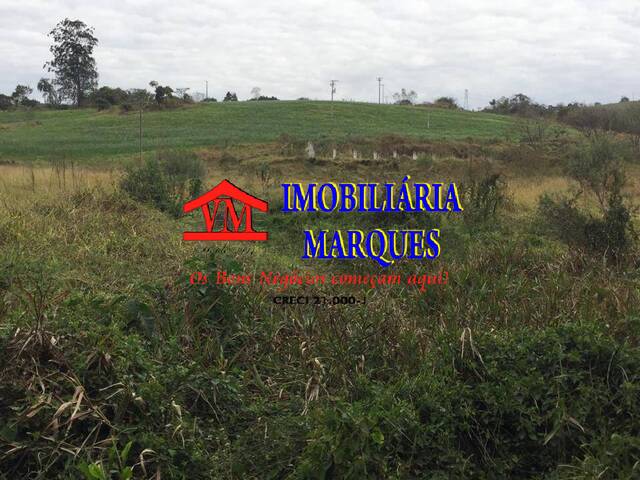 #232 - Sítio para Venda em Morungaba - SP - 3