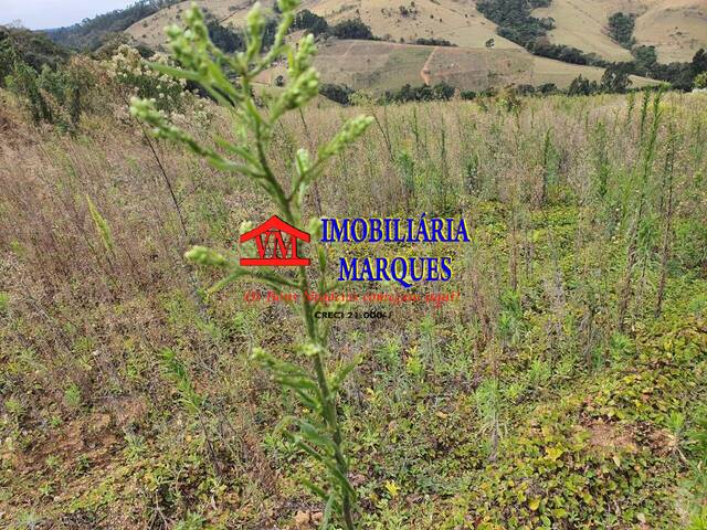 Sítio para Venda em Toledo - 5