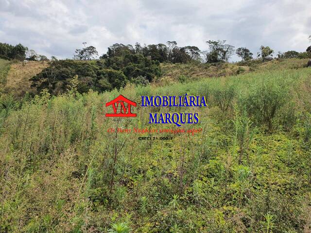 Sítio para Venda em Toledo - 4