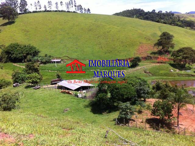 #307 - Fazenda para Venda em Piracaia - SP