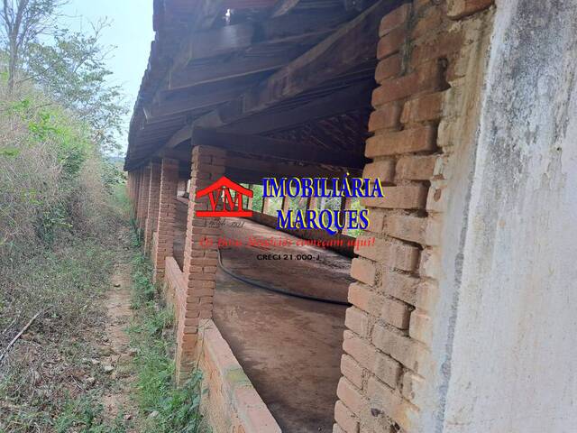 Sítio para Venda em Amparo - 4