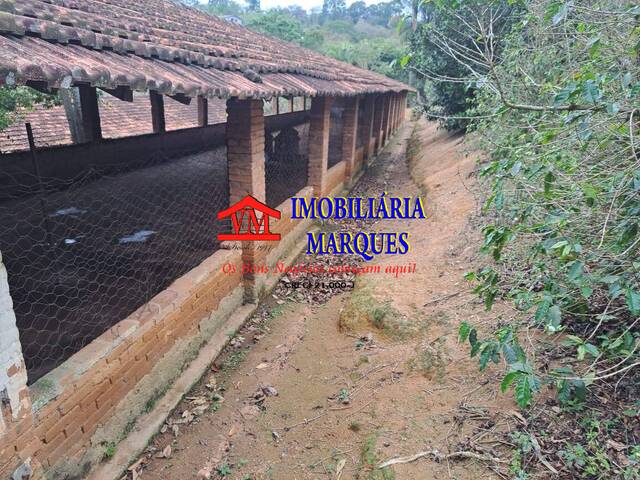 Sítio para Venda em Amparo - 5