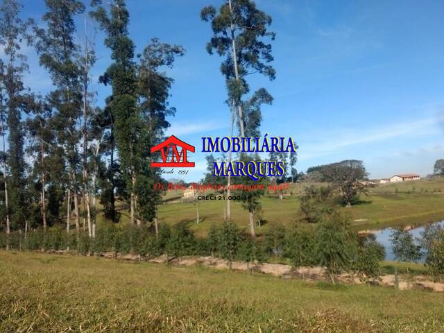 Fazenda para Venda em Amparo - 4