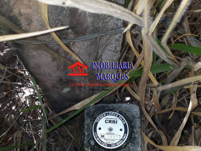 #344 - Sítio para Venda em Morungaba - SP - 3