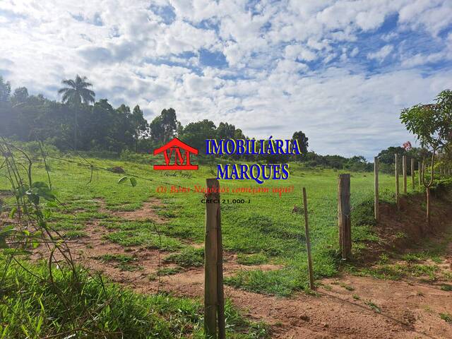 #347 - Fazenda para Venda em Campinas - SP - 2