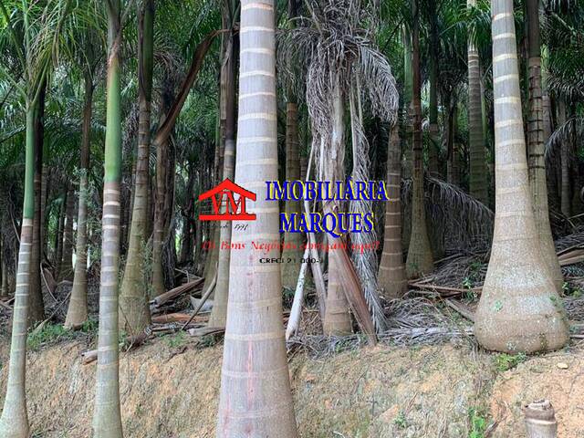Sítio para Venda em Morungaba - 4