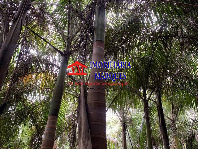 Sítio para Venda em Morungaba - 5