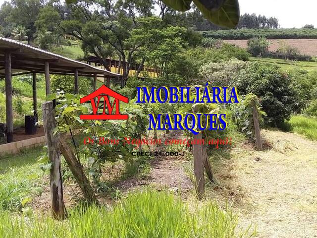 Sítio para Venda em Morungaba - 5