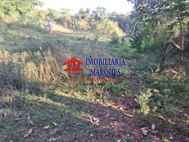 #087 - Sítio para Venda em Morungaba - SP