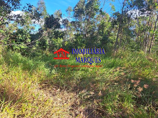 Sítio para Venda em Morungaba - 4