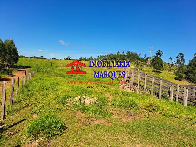 #224 - Sítio para Venda em Morungaba - SP
