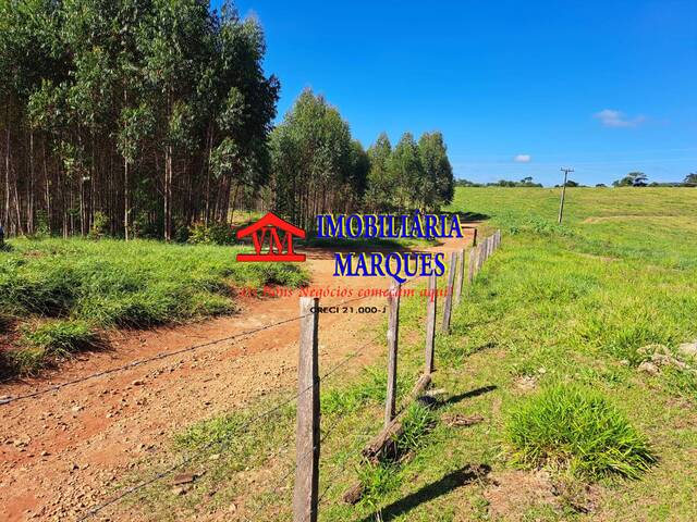 #224 - Sítio para Venda em Morungaba - SP