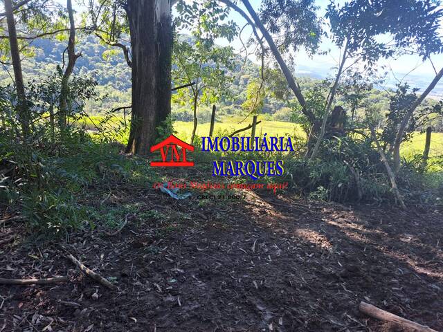 #403 - Sítio para Venda em Morungaba - SP