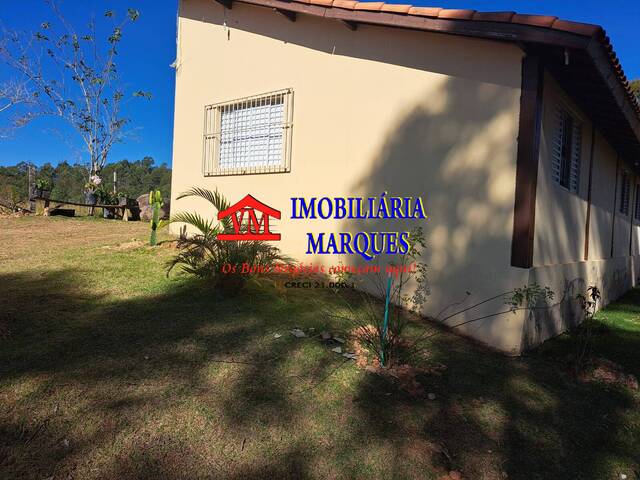 #243 - Sítio para Venda em Amparo - SP - 3