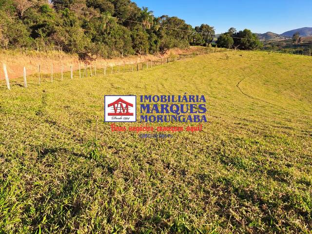 #461 - Sítio para Venda em Morungaba - SP