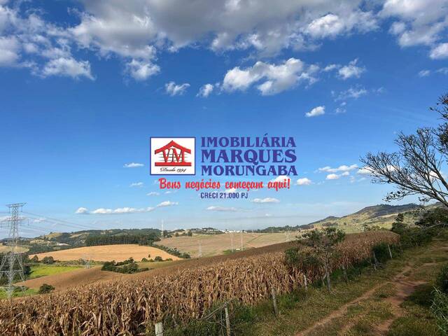 #462 - Fazenda para Venda em Bragança Paulista - SP