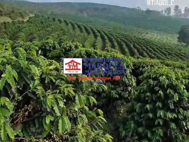 #464 - Fazenda para Venda em Ouro Fino - MG - 1