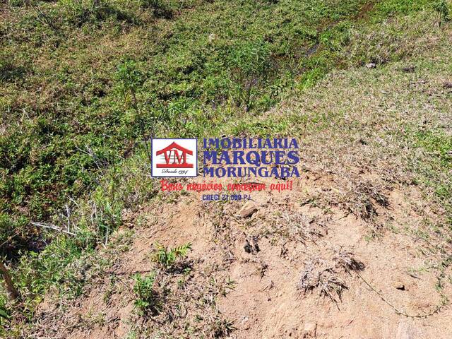 Sítio para Venda em Morungaba - 4