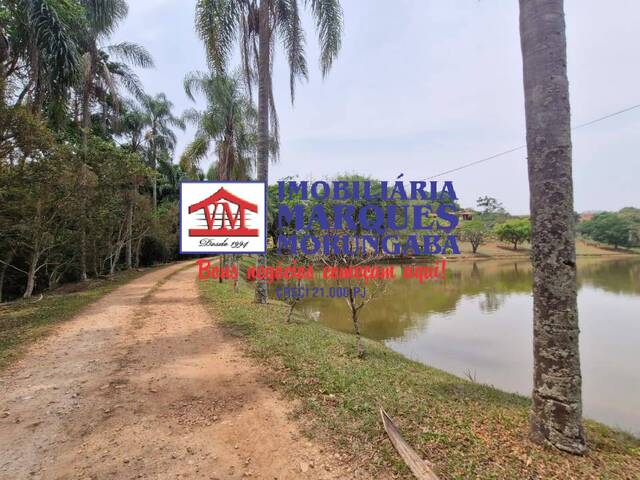 #481 - Sítio para Venda em Morungaba - SP