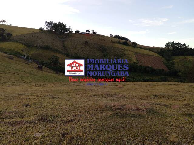 #482 - Sítio para Venda em Socorro - SP