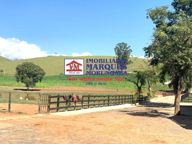 Fazenda para Venda em Lorena - 4