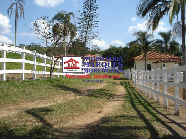 Haras para Venda em Jacareí - 4