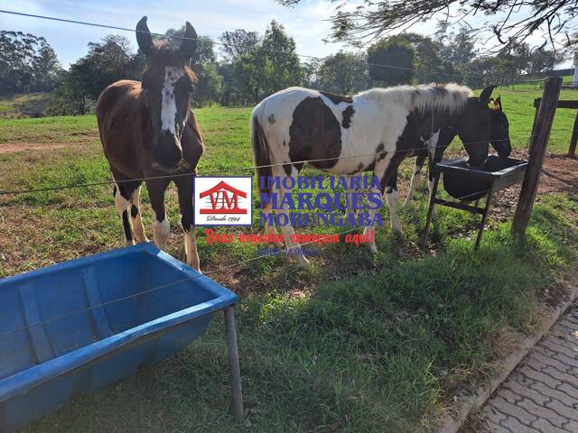 #487 - Haras para Venda em Itatiba - SP - 1