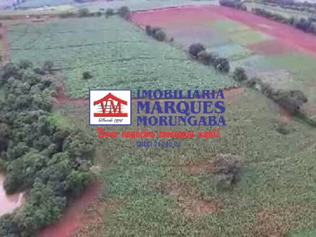 #058 - Sítio para Venda em Morungaba - SP - 2