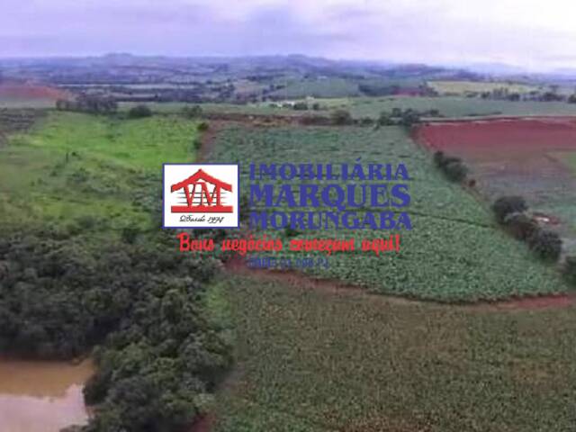 Sítio para Venda em Morungaba - 5