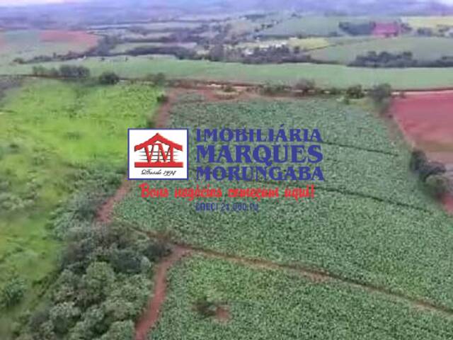 Sítio para Venda em Morungaba - 4