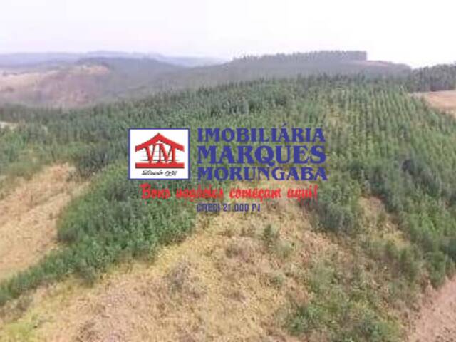 Sítio para Venda em Morungaba - 5