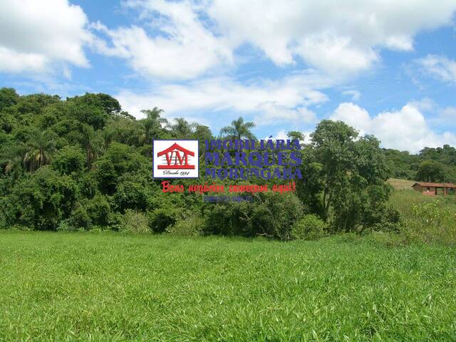 #323 - Sítio para Venda em Morungaba - SP - 1