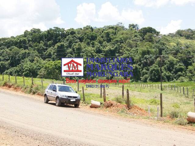 #323 - Sítio para Venda em Morungaba - SP - 3